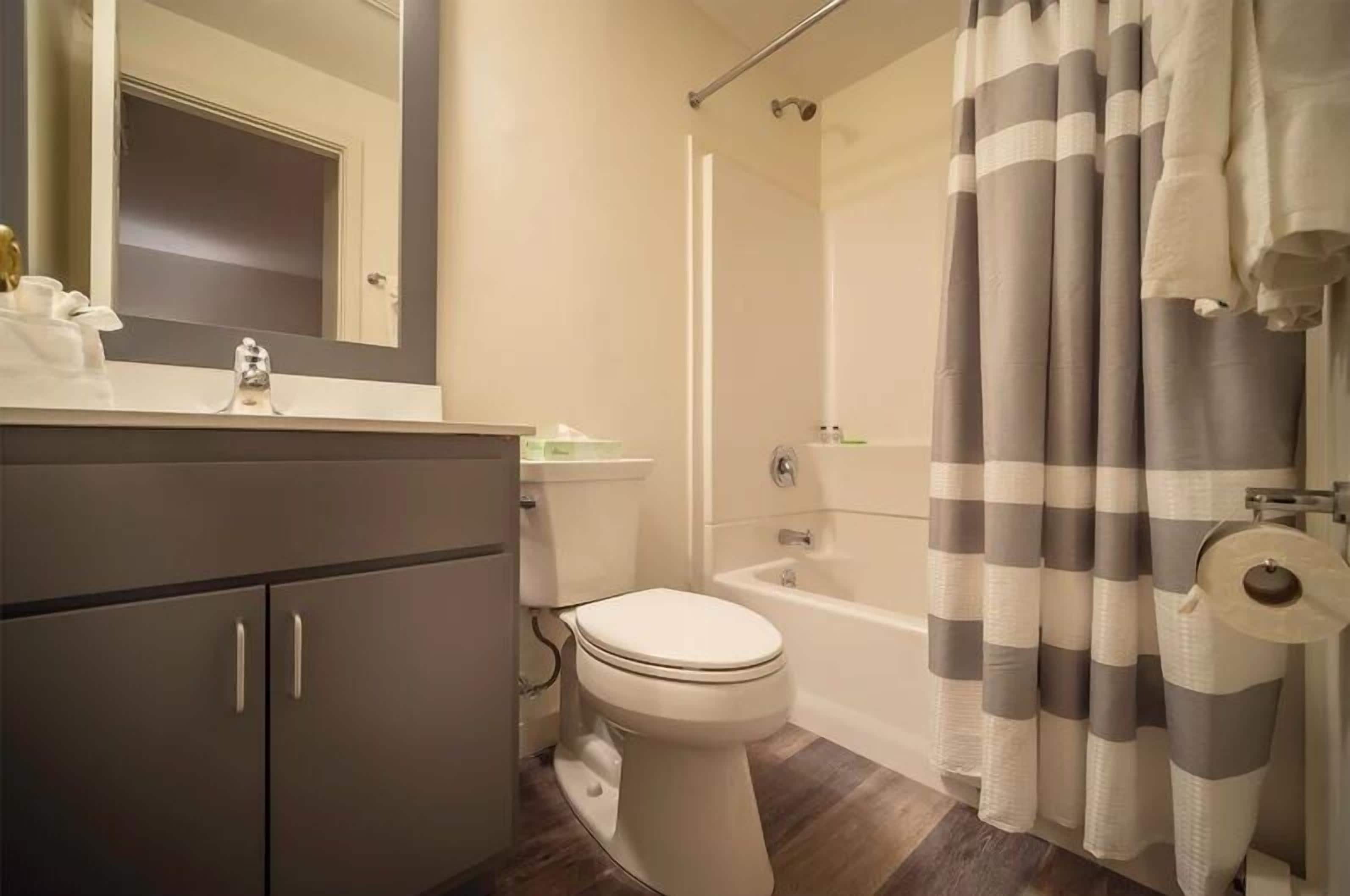 A bathroom with a toilet, sink, mirror, and shower curtain.