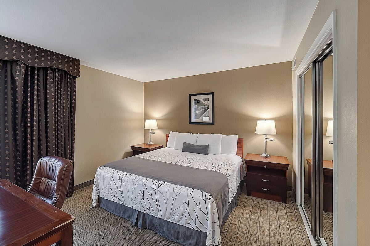 1 chambre, literie de qualité supérieure, couette en duvet d'oie