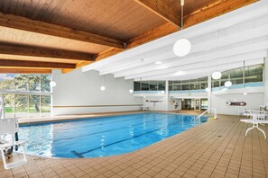 Indoor pool, sun loungers