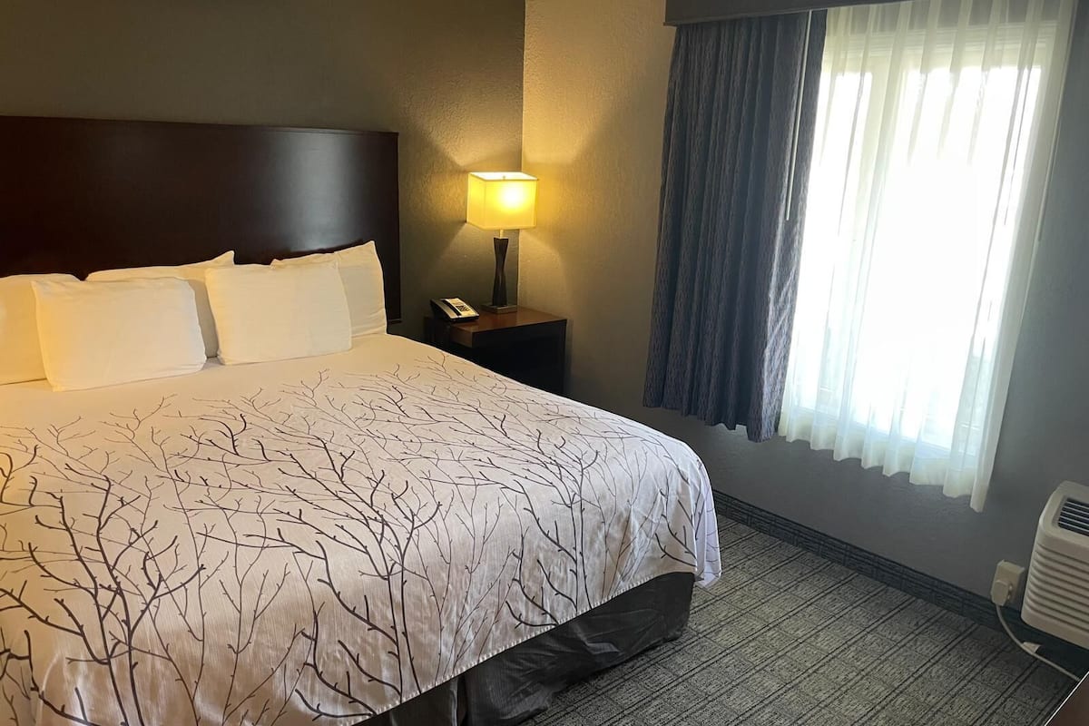 1 chambre, literie de qualité supérieure, couette en duvet d'oie