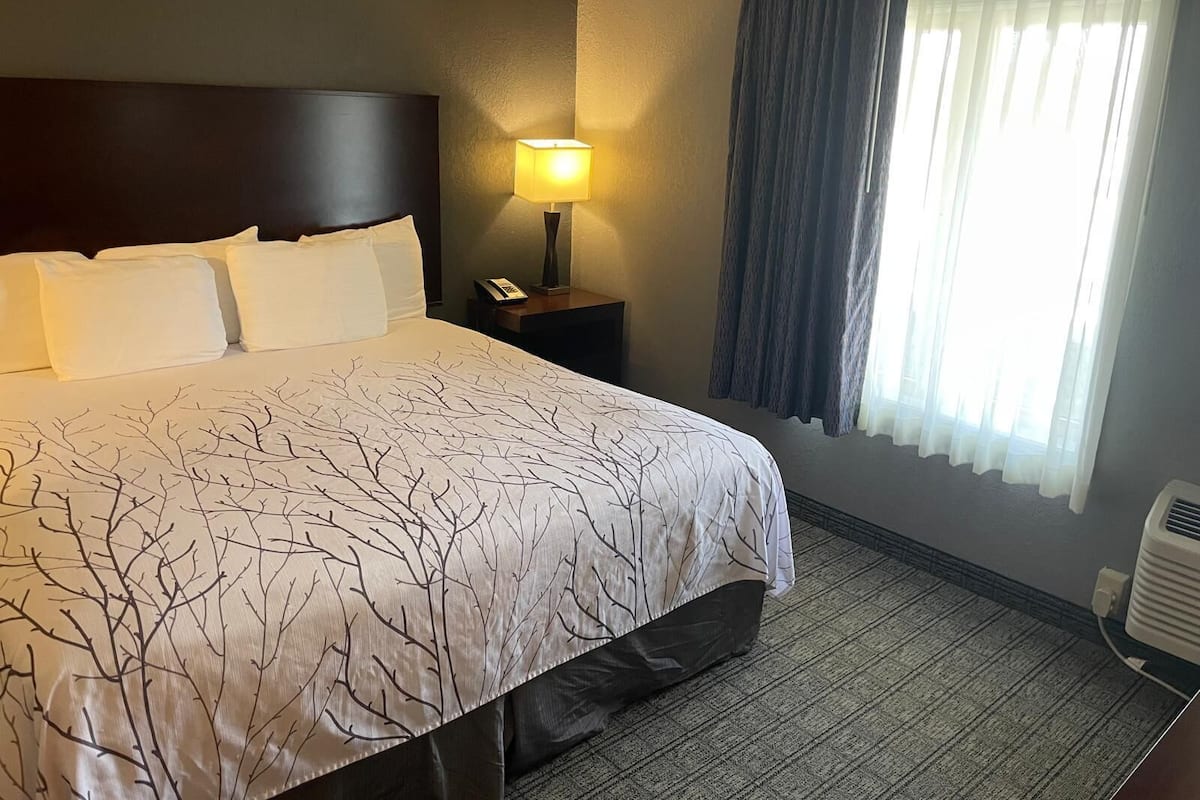 Suite, 1 King Bed | 1 bedroom, premium bedding, down comforters, pillowtop beds