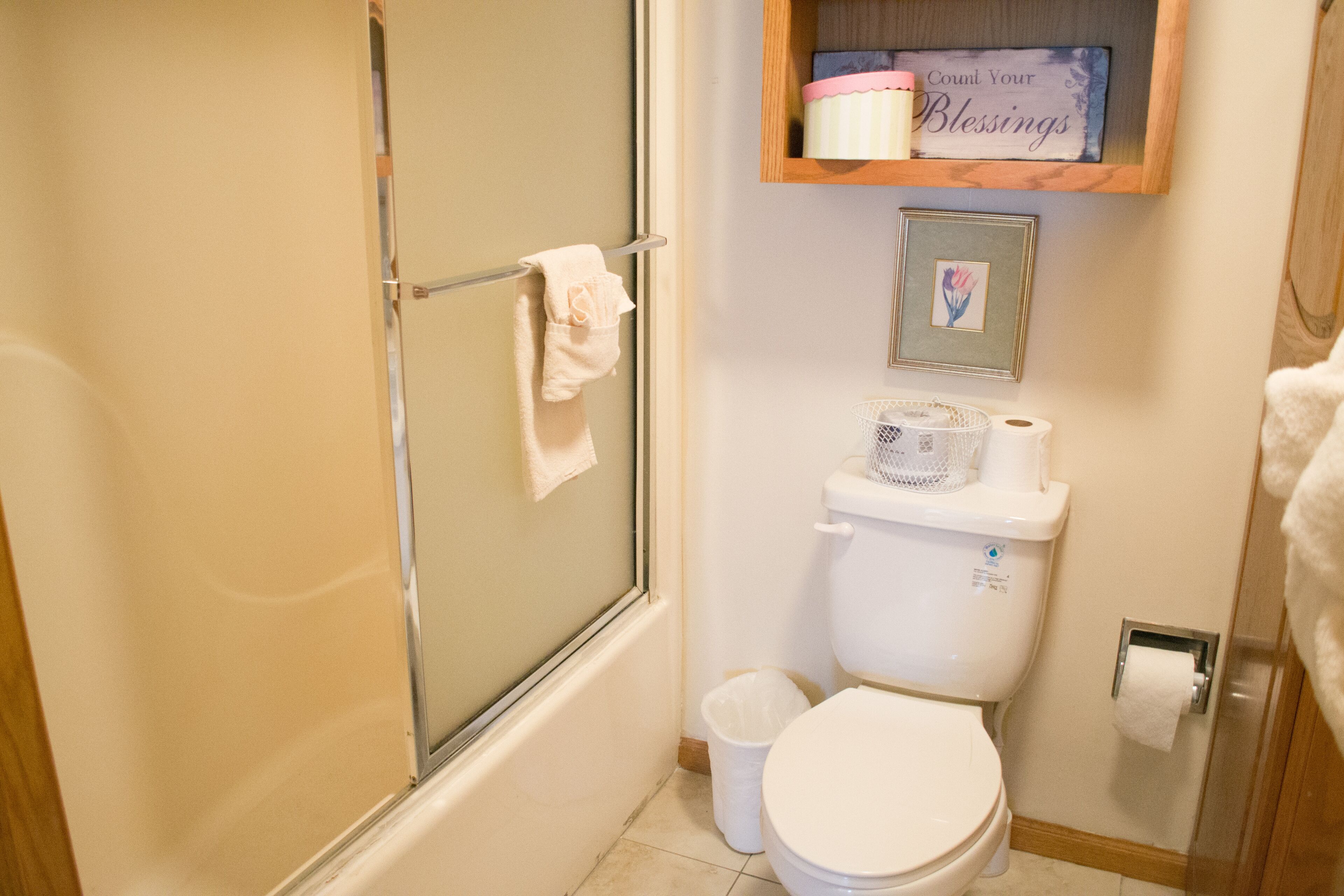 A bathroom with a glass shower enclosure, a toilet, a trash bin, and a shelf with a toilet paper holder and a framed picture.