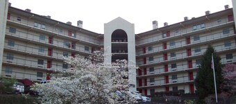 Gatlinburg Chateau Rentals