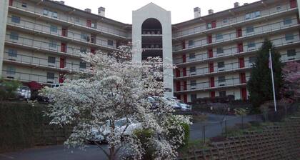 Gatlinburg Chateau Rentals