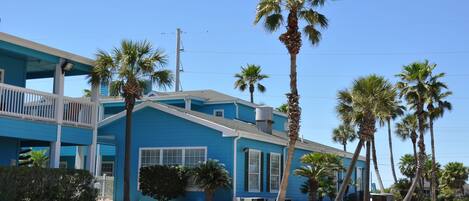 A blue building with a balcony, palm trees, and a clear sky.