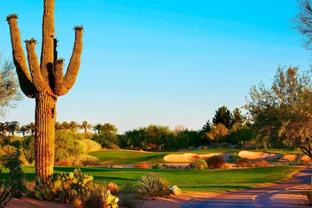 JW Marriott Phoenix Desert Ridge Resort Spa - Image 98