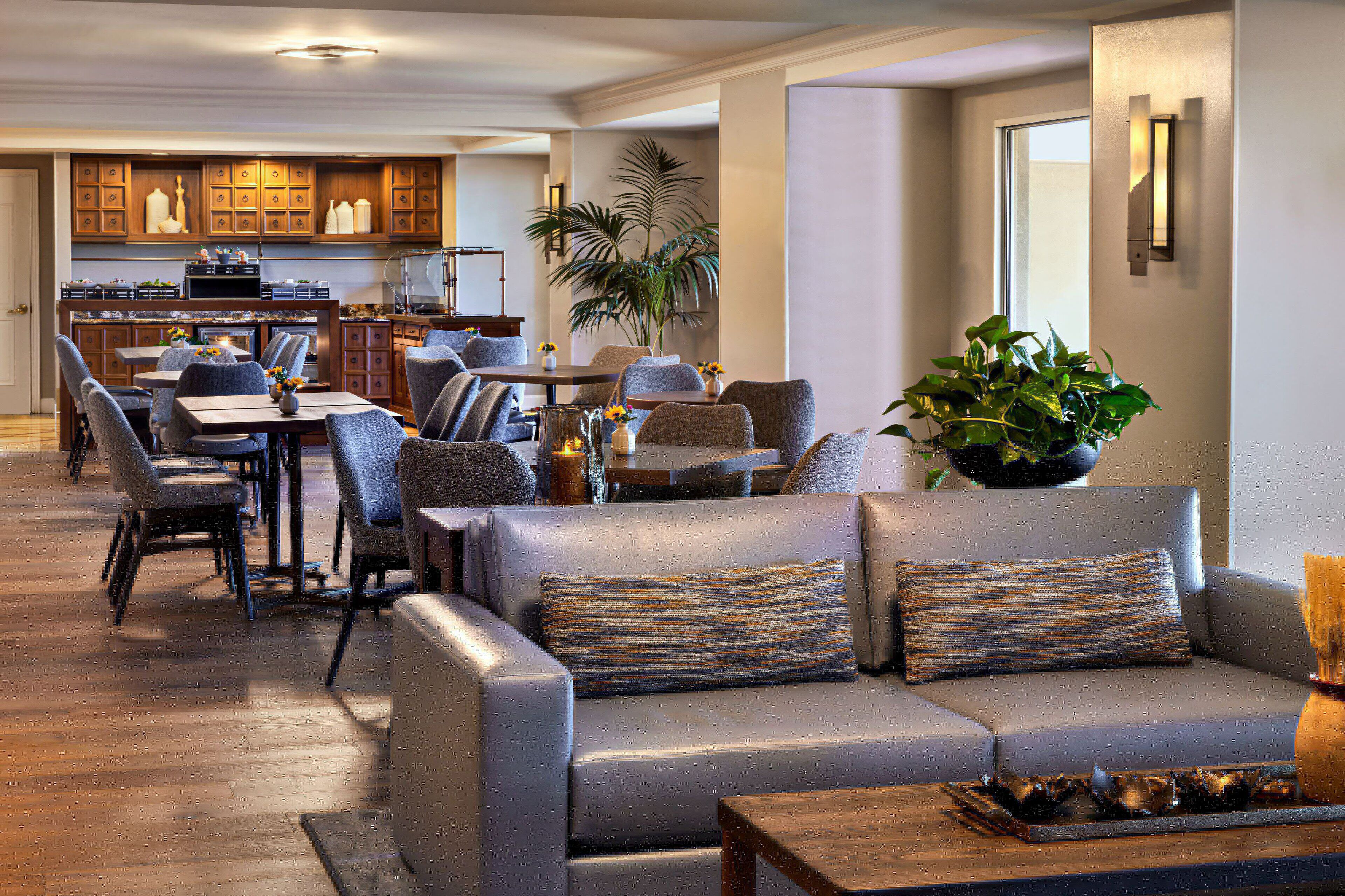 A spacious living area with a sofa set, dining table, and chairs, a kitchen in the background, and a large potted plant.
