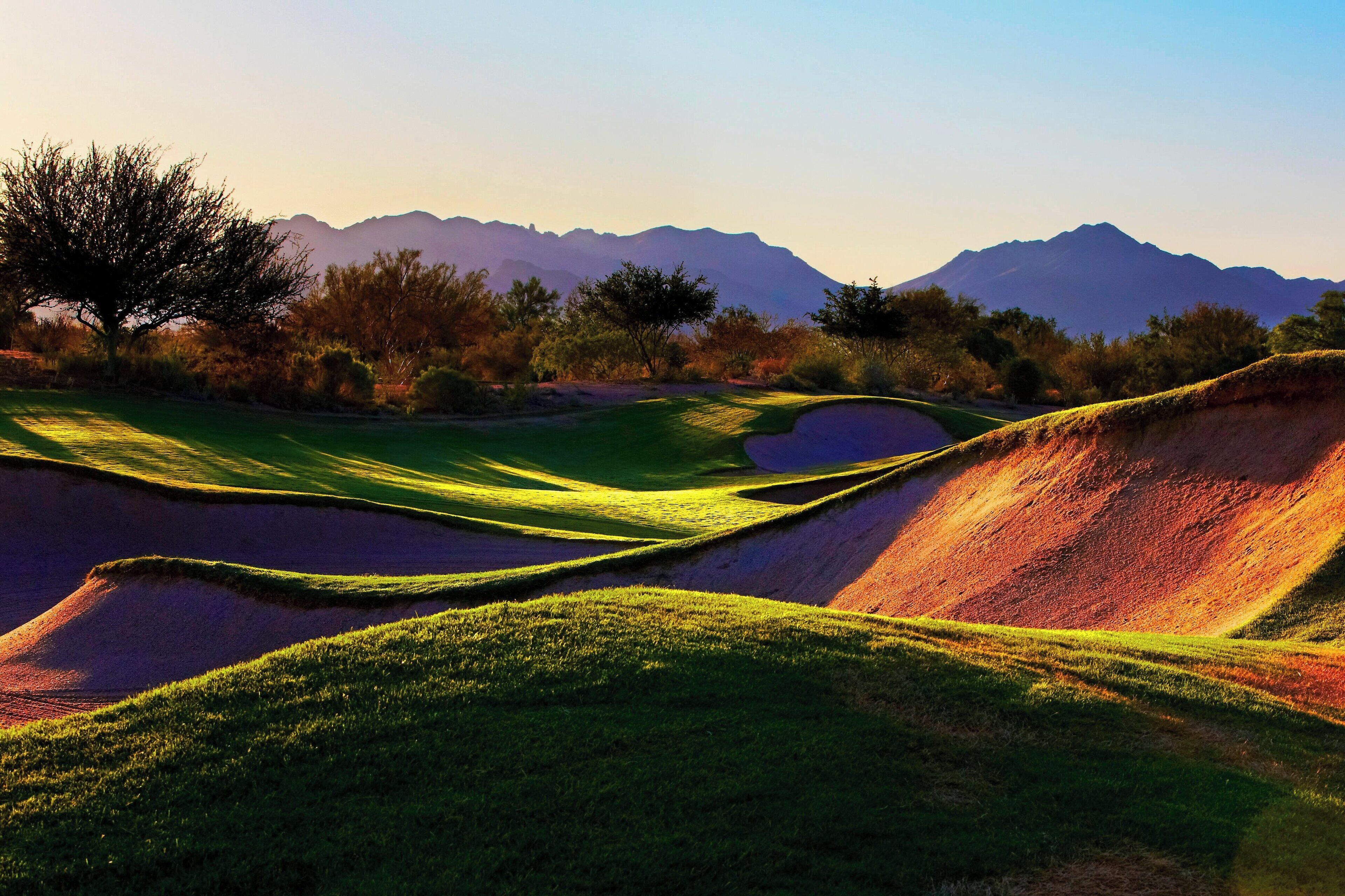 Un parcours de golf avec des bunkers de sable, un arbre et des montagnes en arrière-plan.