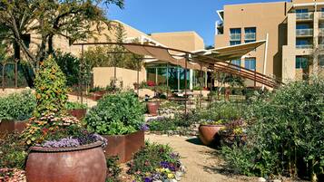 Um jardim com diversas plantas e flores, uma pérgula e um edifício ao fundo.