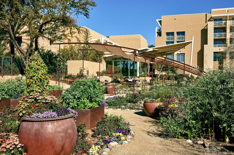 JW Marriott Phoenix Desert Ridge Resort Spa - Image 55