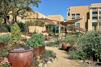 Property amenity at JW Marriott Phoenix Desert Ridge Resort & Spa