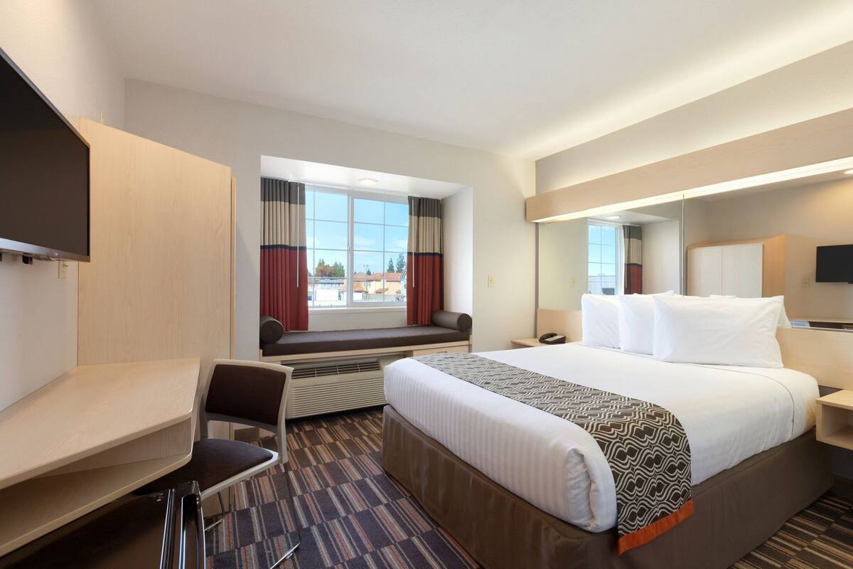 Habitación de hotel con cama, escritorio, silla, ventana con cortinas, calefactor, mesita de noche con lámpara y televisor montado en la pared.