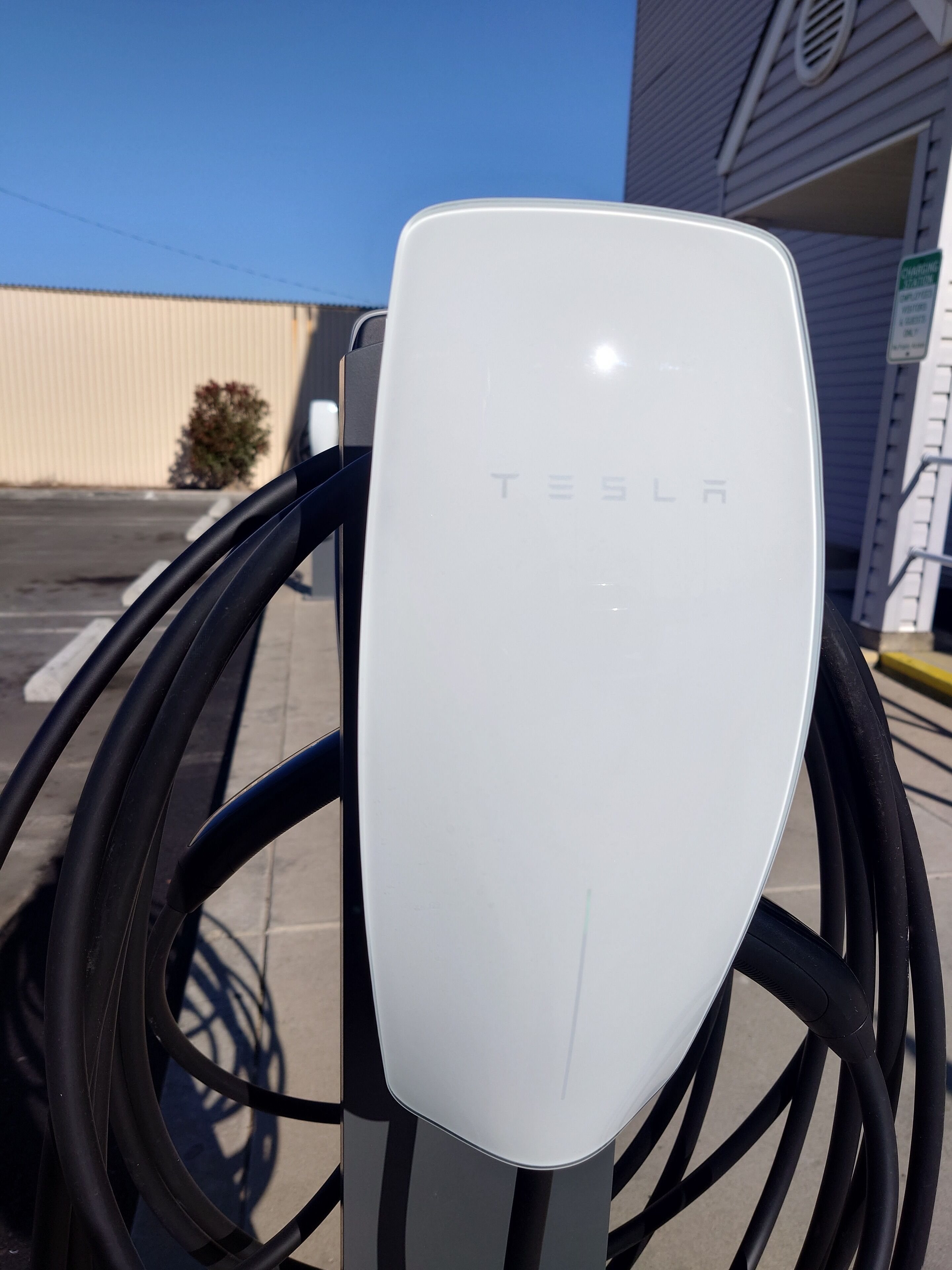 Een Tesla laadstation voor elektrische voertuigen, met een goed zicht op het Tesla logo, een zwarte kabel en een gebouw op de achtergrond.