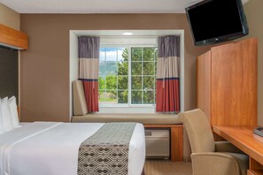 Studiosuite, 1 queensize-seng, ikke-røyk | Romfasilitet