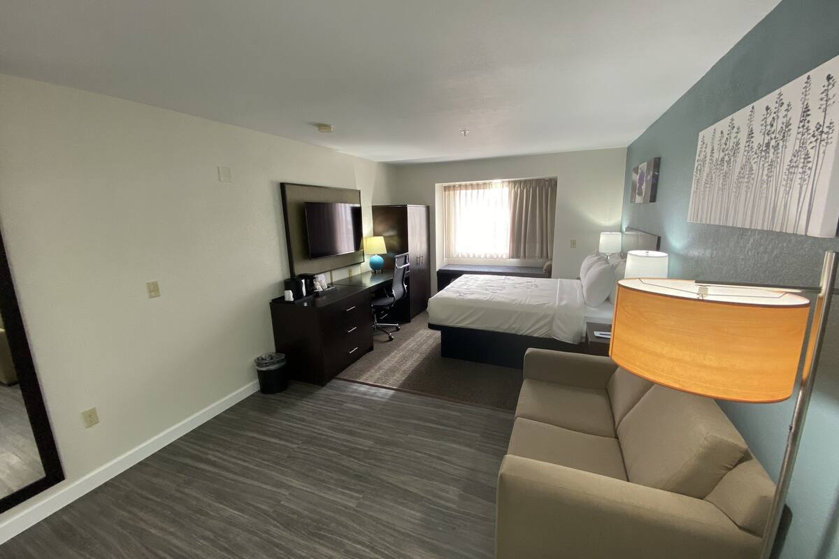 suite, 1 queen bed with sofa bed, non smoking (efficiency) | premium bedding, pillow-top beds, individually furnished, desk