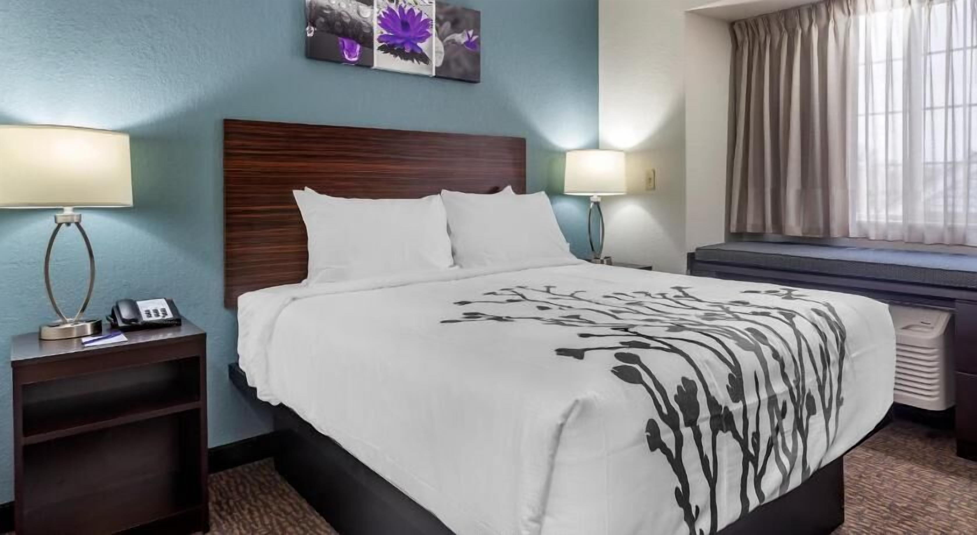 Premium bedding, pillowtop beds, individually furnished, desk
