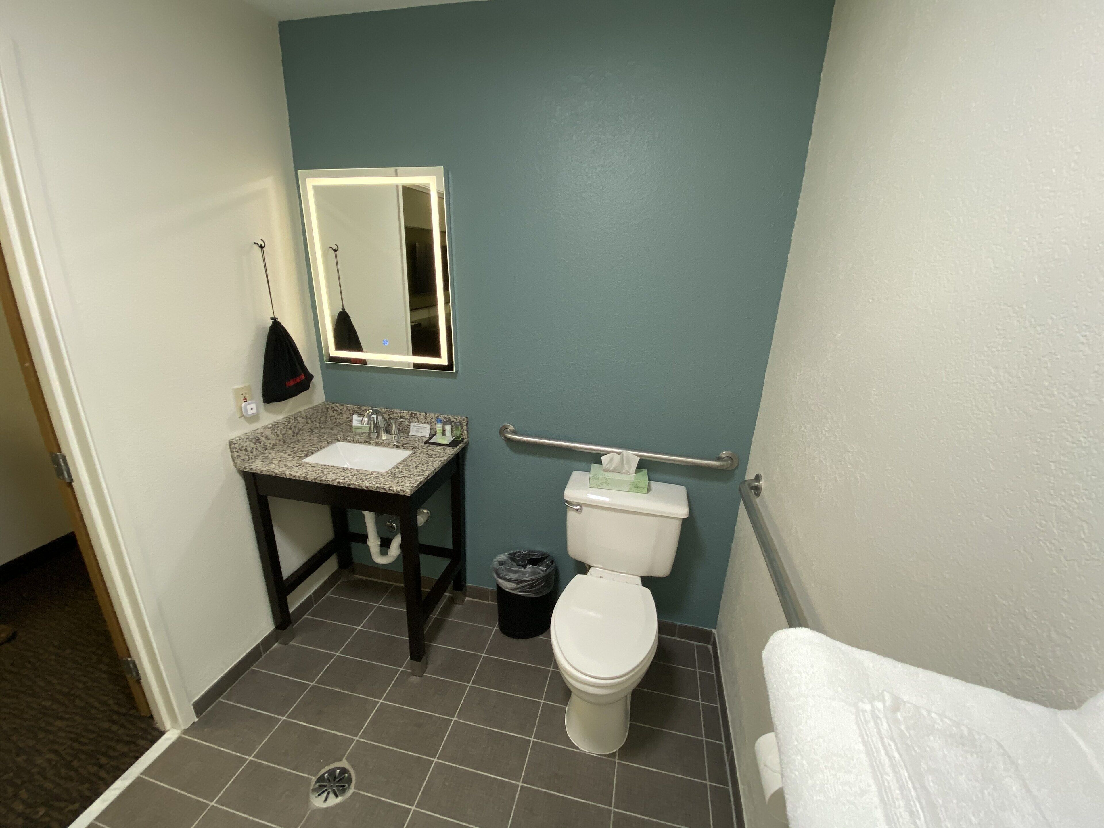 combined shower/bathtub, free toiletries, hair dryer, towels