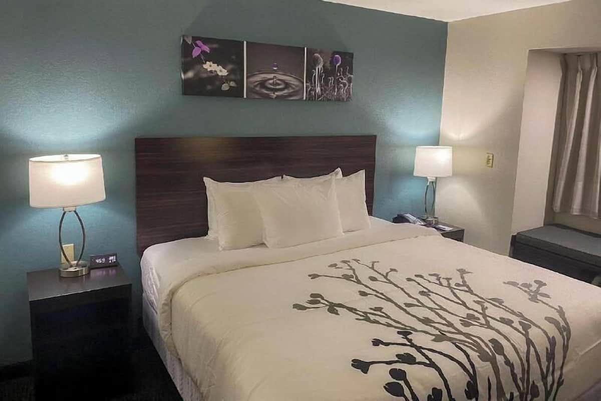 A hotel room with a bed, two bedside tables, a wall-mounted artwork, and a window with curtains.