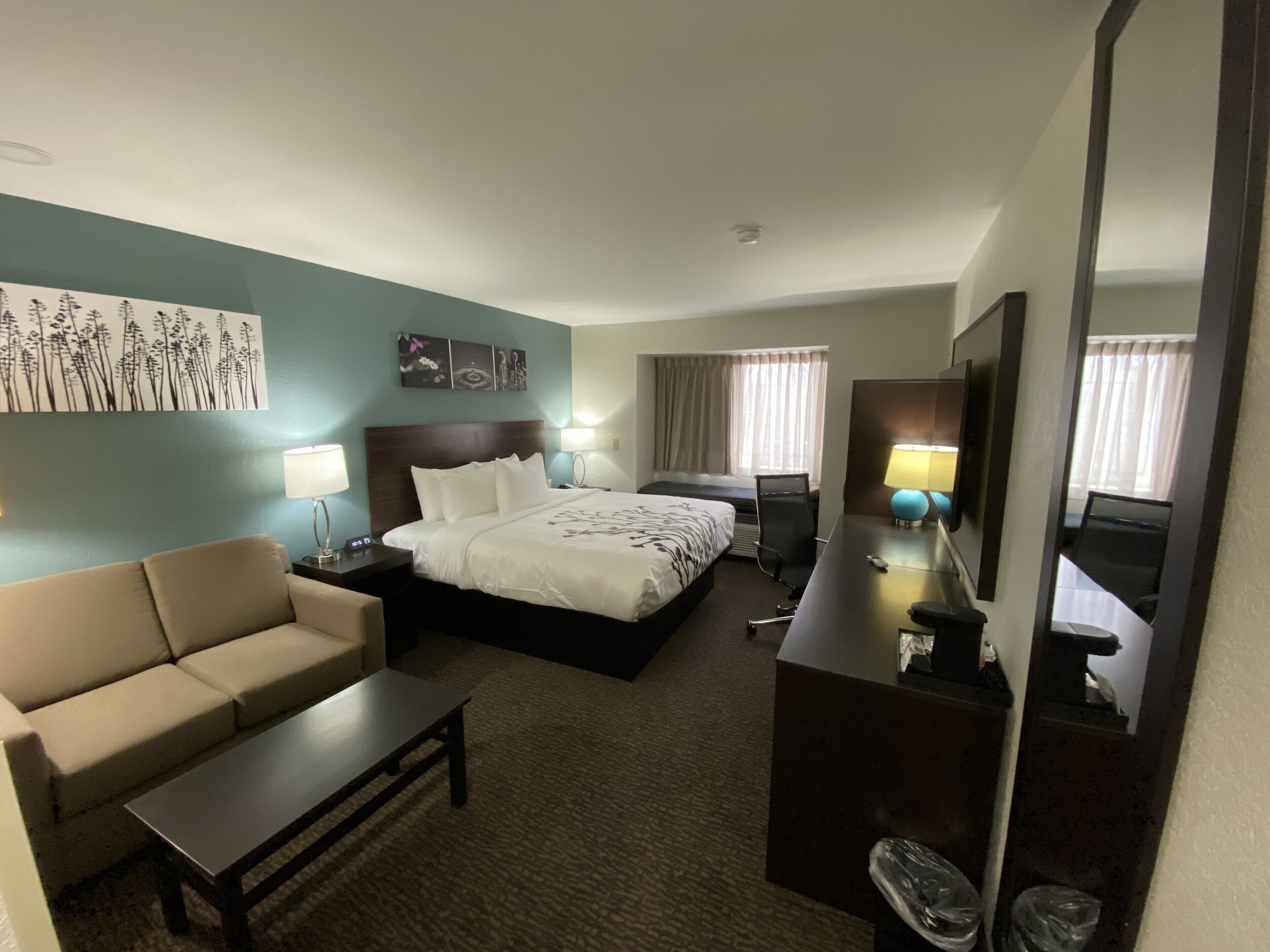 room, 1 king bed with sofa bed, non smoking (upgrade) | premium bedding, pillow-top beds, individually furnished, desk