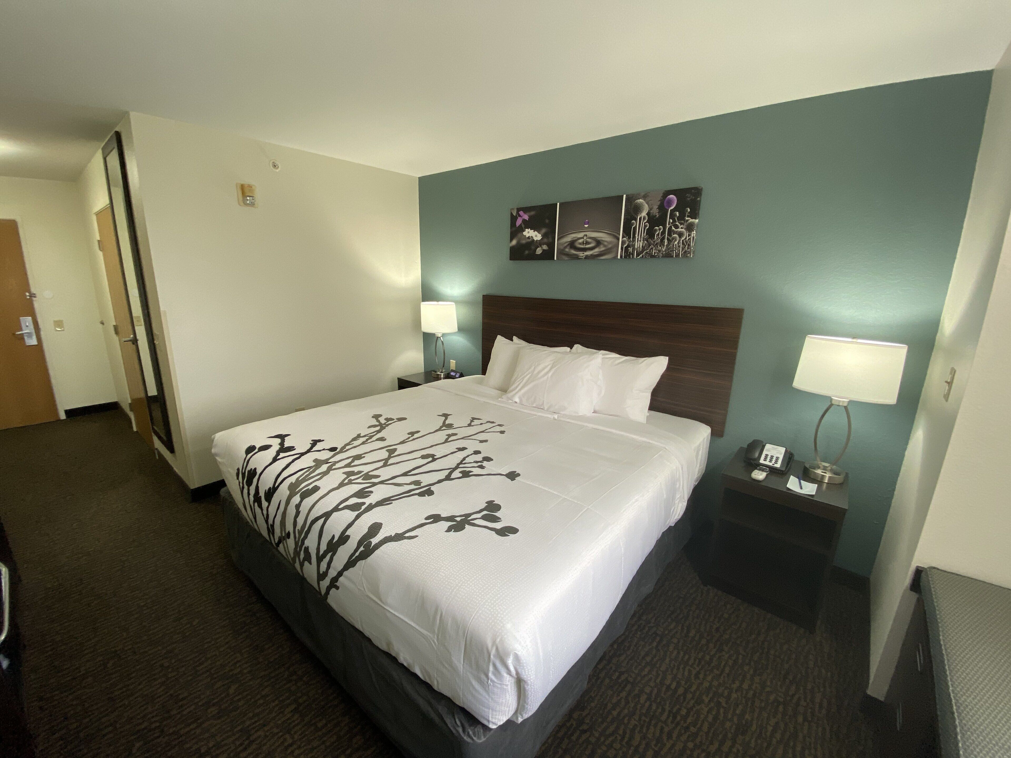 A hotel room with a large bed, a nightstand with a lamp, and a wall-mounted artwork.