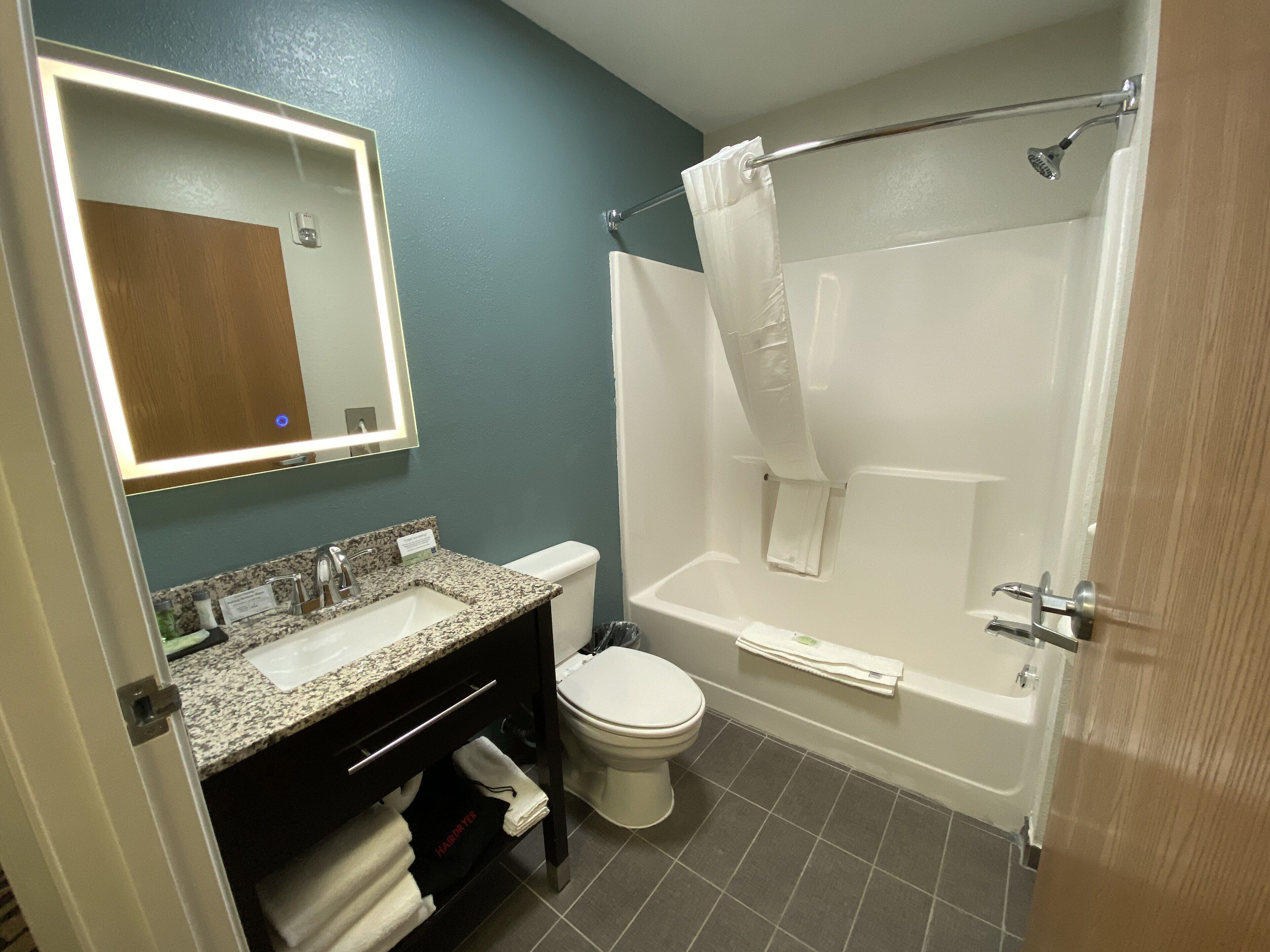 combined shower/bathtub, free toiletries, hair dryer, towels