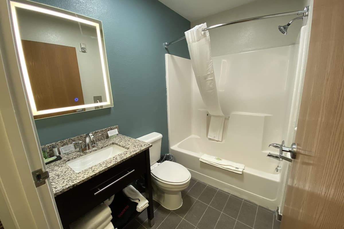 combined shower/bathtub, free toiletries, hair dryer, towels