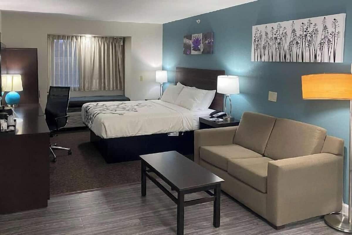 A hotel room with a bed, a desk, a chair, a sofa, and a lamp.