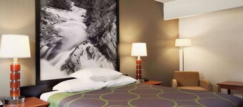 Super 8 by Wyndham Colorado Springs/Afa Area