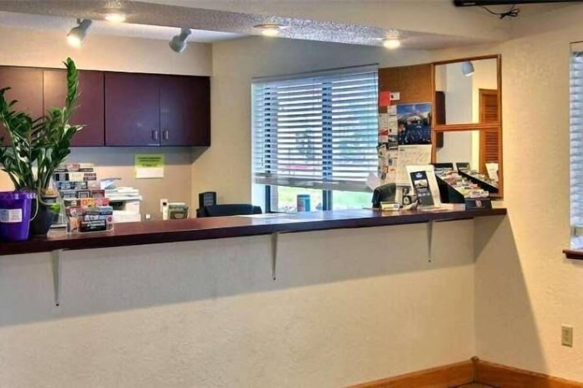 A reception desk with a computer, a potted plant, and a window with blinds.