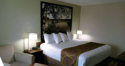 Super 8 by Wyndham Alexandria MN