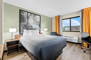 Standard Room, 1 Queen Bed | Desk, iron/ironing board, free cribs/infant beds, WiFi