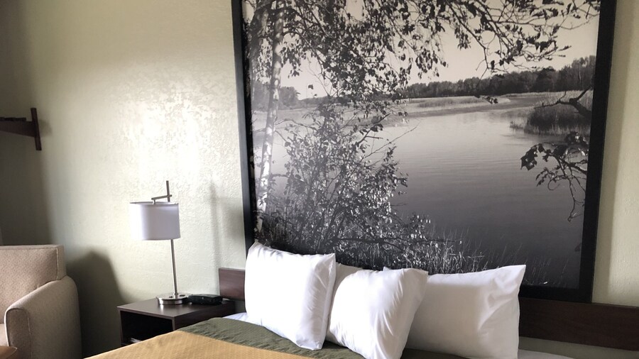 Super 8 by Wyndham Alexandria MN