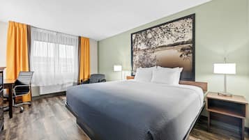 Desk, iron/ironing board, free cribs/infant beds, free WiFi