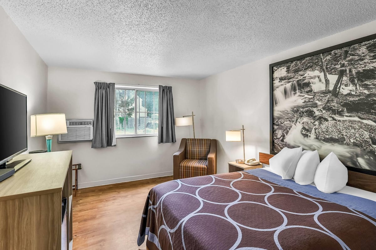 Room, 1 Queen Bed, Non Smoking (Pet Friendly) | In-room safe, desk, iron/ironing board (on request)