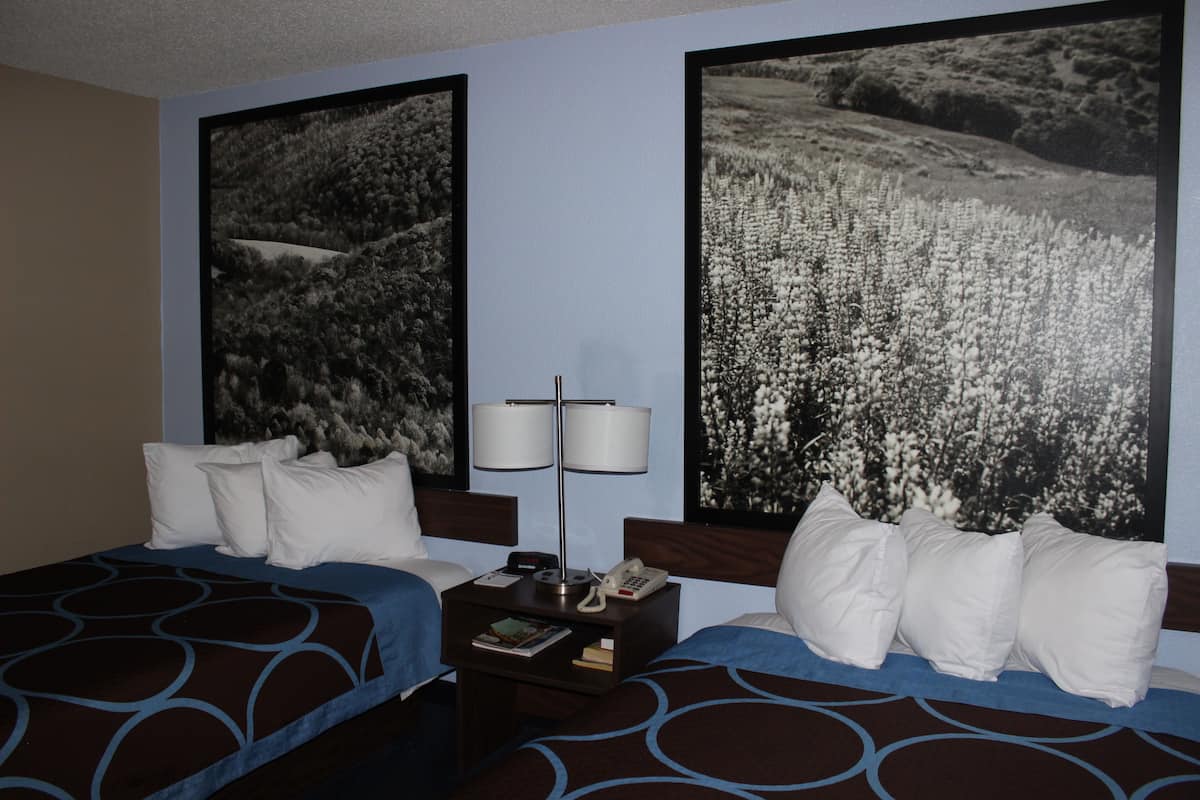 A hotel room with two beds, a nightstand with a lamp, and large framed pictures on the walls.