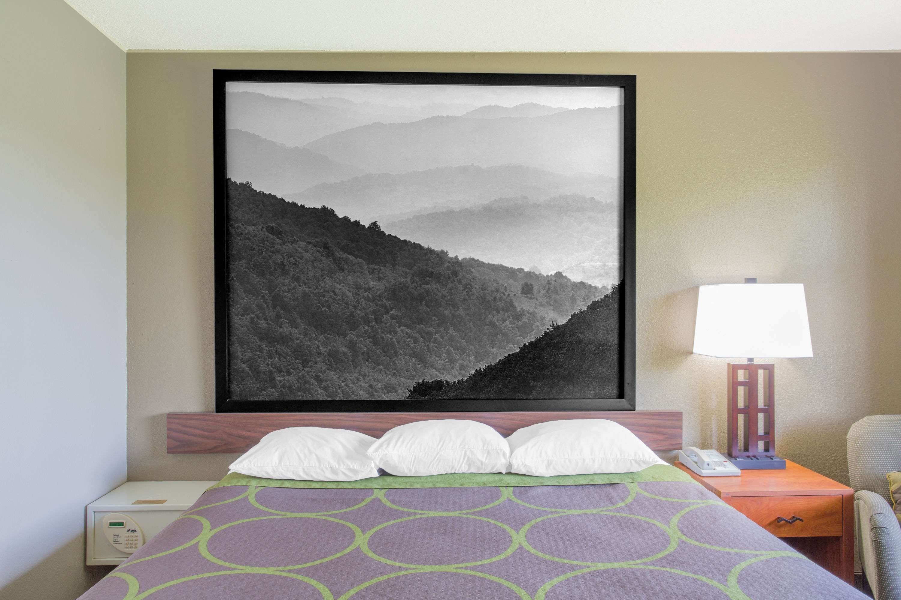 Hotelkamer met een bed, nachtkastje met lamp, lijst met berglandschap en bedieningspaneel.