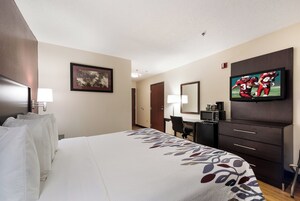Una habitación de hotel con una cama, un escritorio, un televisor y un armario.