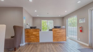 A reception area with a wooden reception desk, a brown upholstered chair, and a large window providing natural light.