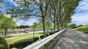 A tree-lined street with a building featuring a flat roof and a white exterior.