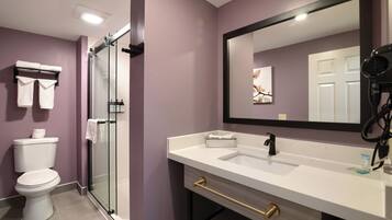 Combined shower/tub, free toiletries, hair dryer, towels