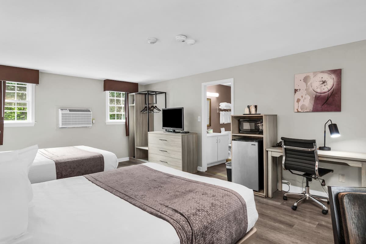 Habitación de hotel con dos camas, un escritorio, una silla, un televisor, un espejo y una pequeña kitchenette.