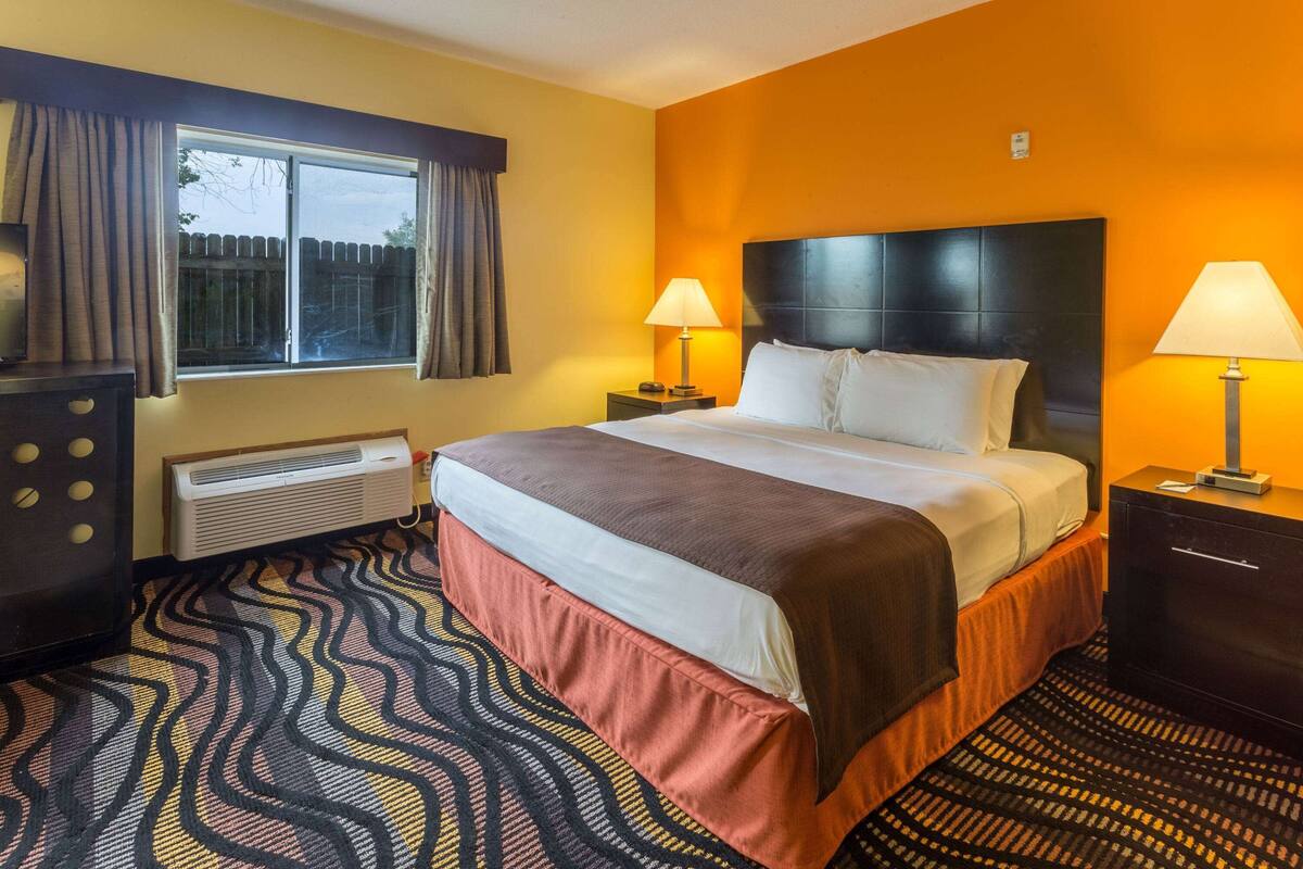 Une chambre d’hôtel avec un grand lit, deux lampes de chevet, un radiateur, une commode et une moquette à motifs.