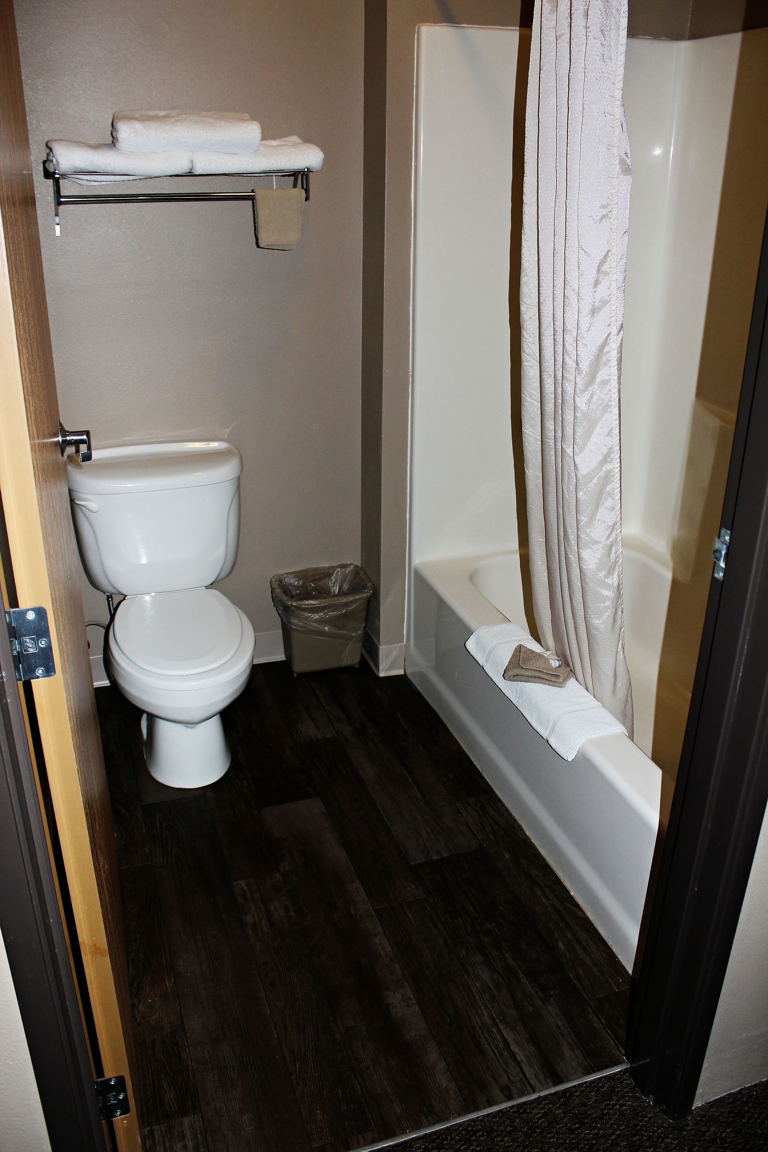 combined shower/bathtub, free toiletries, hair dryer, towels