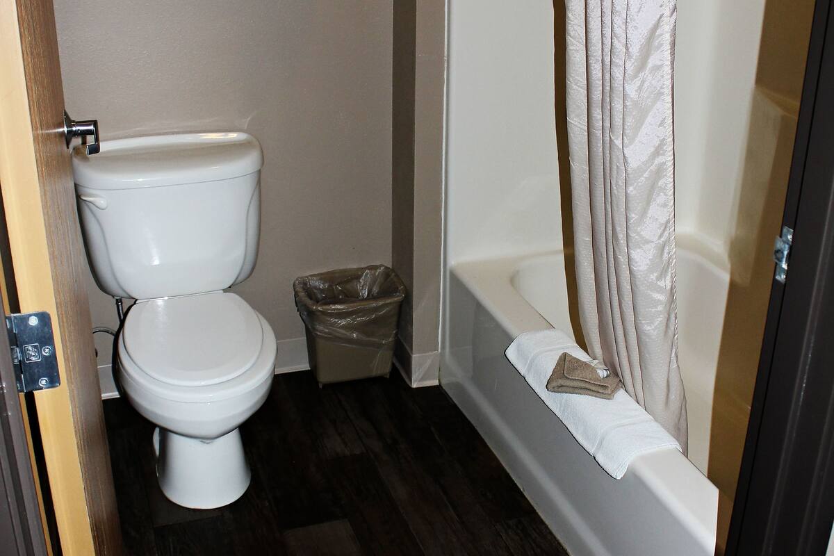 combined shower/bathtub, free toiletries, hair dryer, towels