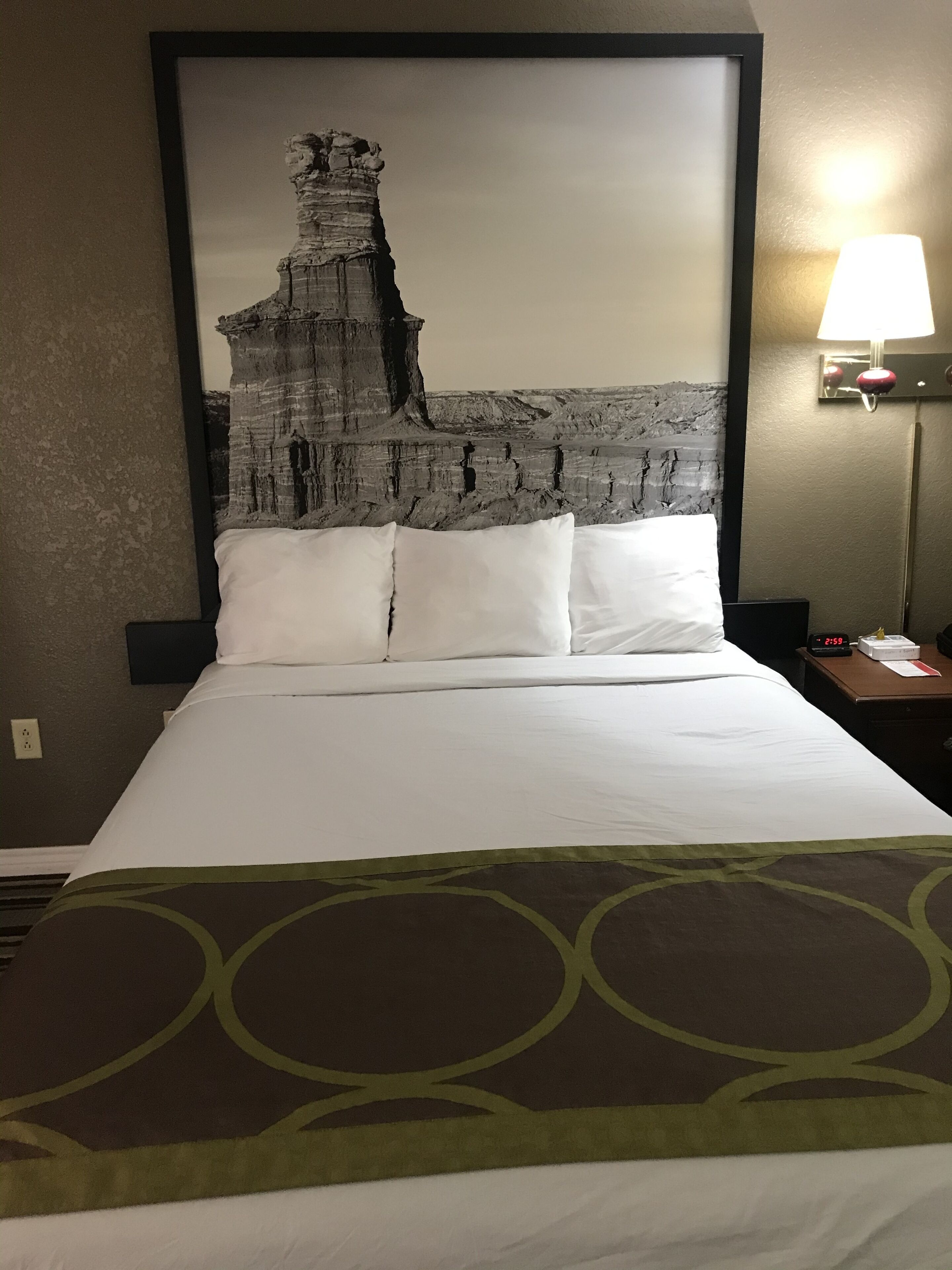A hotel room with a large bed, a headboard with a rock formation print, a nightstand with a lamp, and a wall socket.