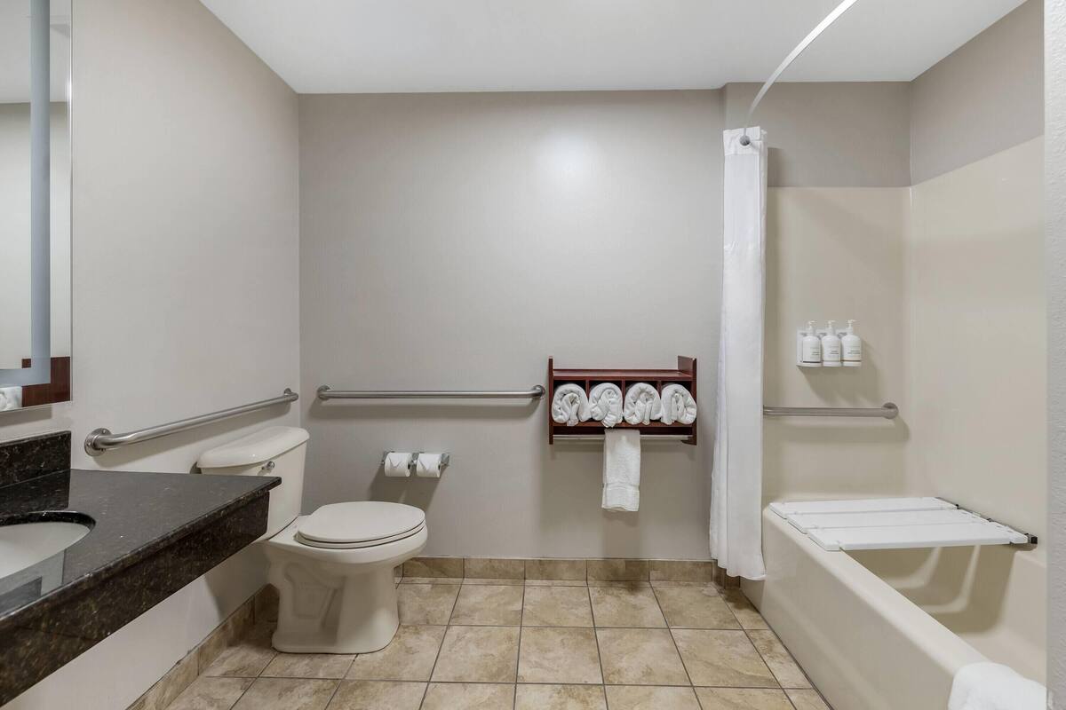 Room, 1 King Bed, Accessible, Non Smoking (Mobility) | Accessible bathroom
