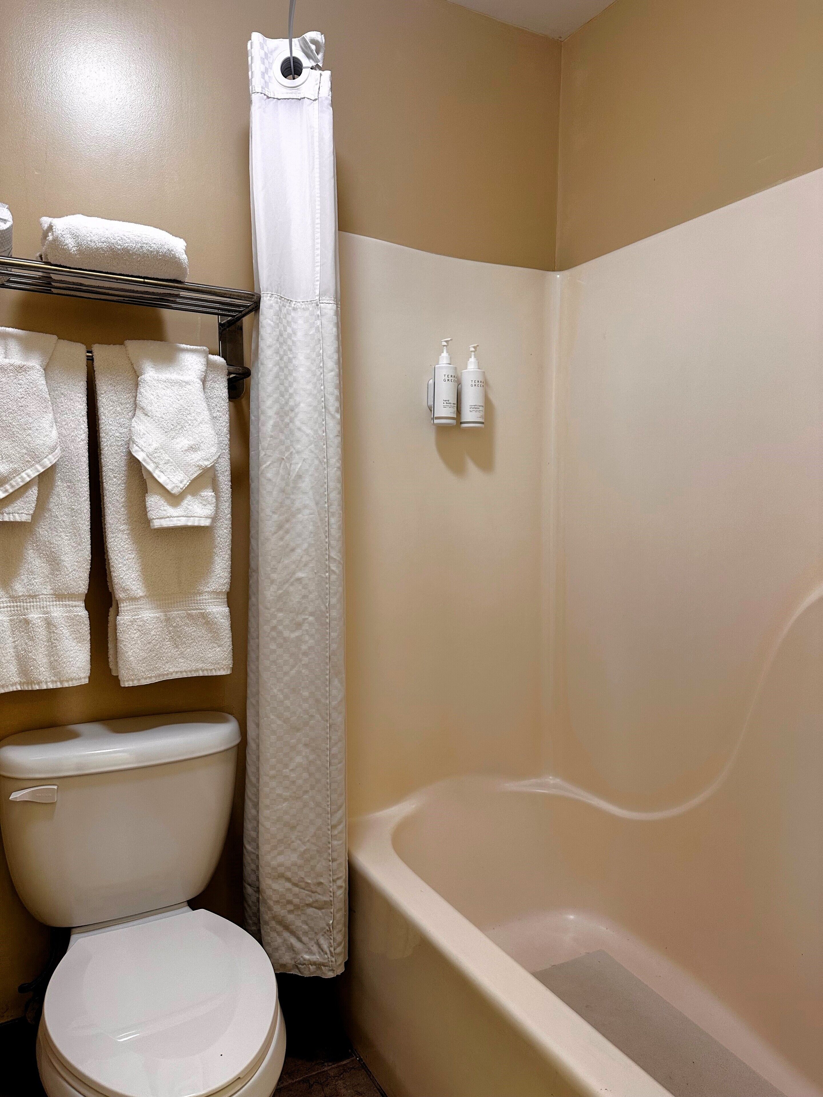 Un bagno con un water, una vasca e un tendaggio per la doccia. Asciugamani sono appesi a un portasciugamani sopra il water.