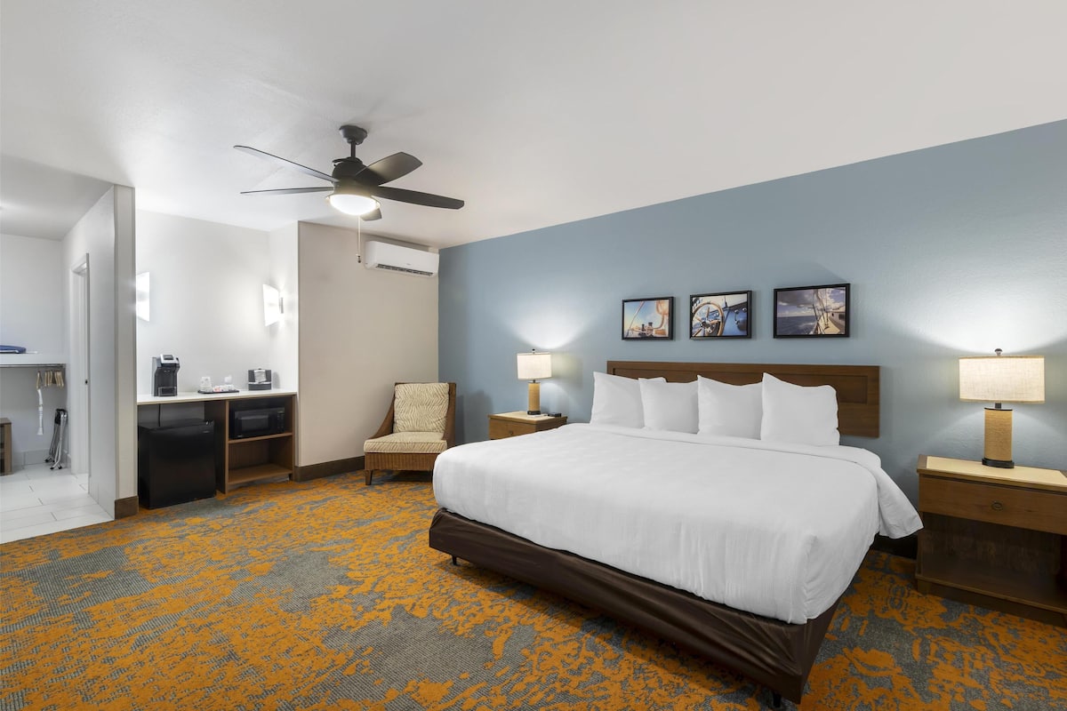 Standard Room, 1 King Bed, Accessible, Non Smoking | Premium bedding, pillow-top beds, individually decorated