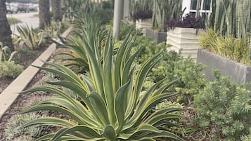 Jardín