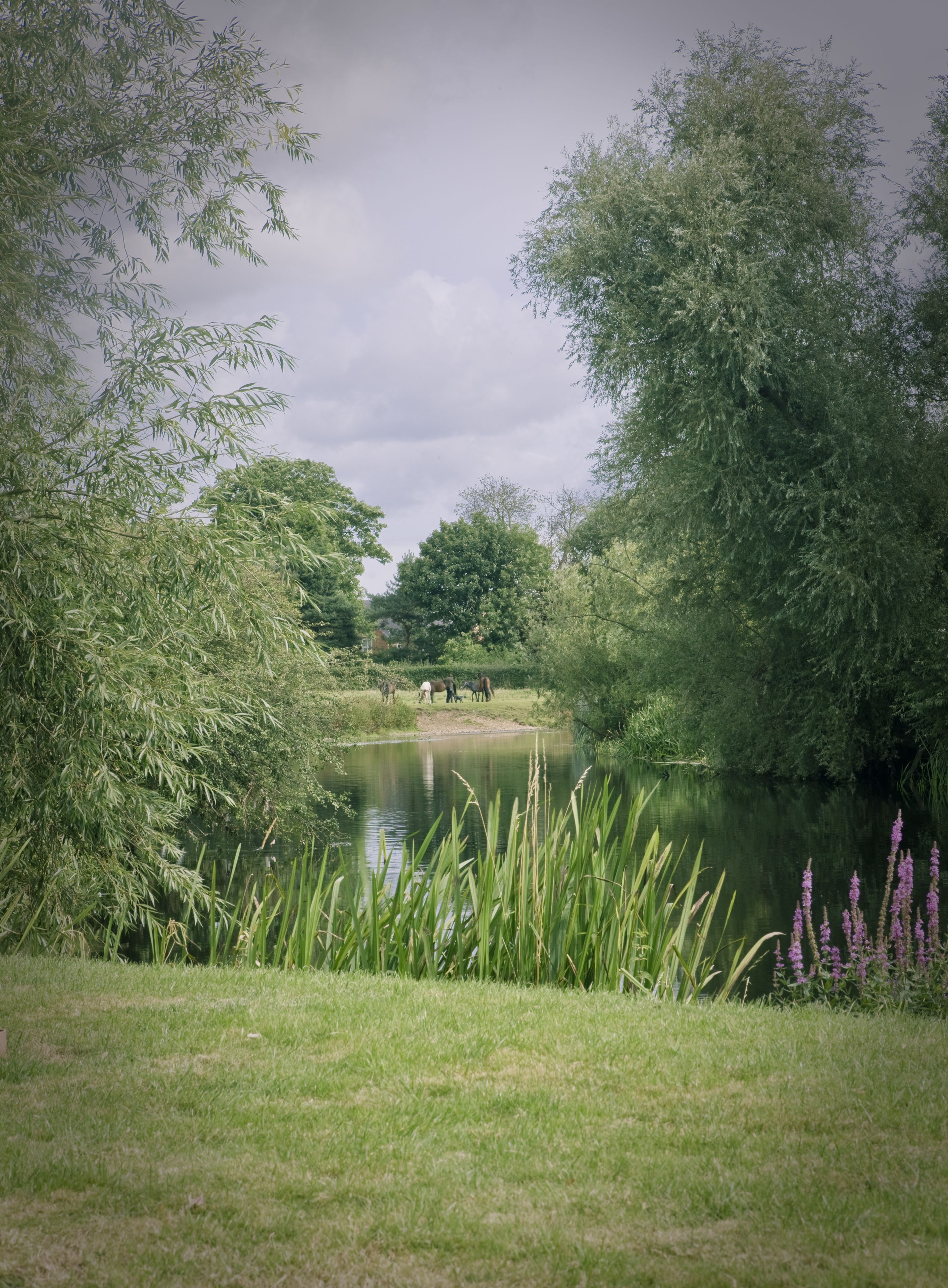 A serene park with a pond, lush greenery, and a distant group of people.